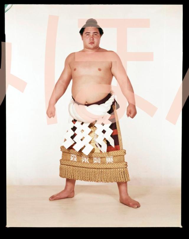 大相撲　関脇　正代　優勝額ミニチュア　希少レア 大相撲 関脇 正代 優勝額ミニチュア 希少レア 大相撲 関脇 正代 優勝額