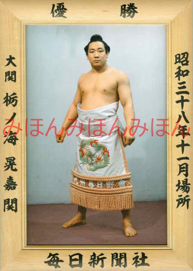 栃ノ海晃嘉関 優勝ミニ額 大相撲ミニ額 大相撲優勝額 昭和３８年１１月場所 優勝 大関 栃ノ海晃嘉関（２回目の優勝） - 写真