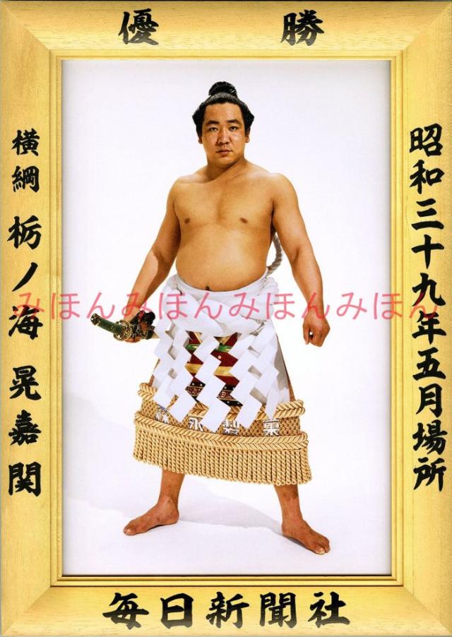 古代悪魔学: サタンと闘争神話 (叢書・ウニベルシタス)(中古品)