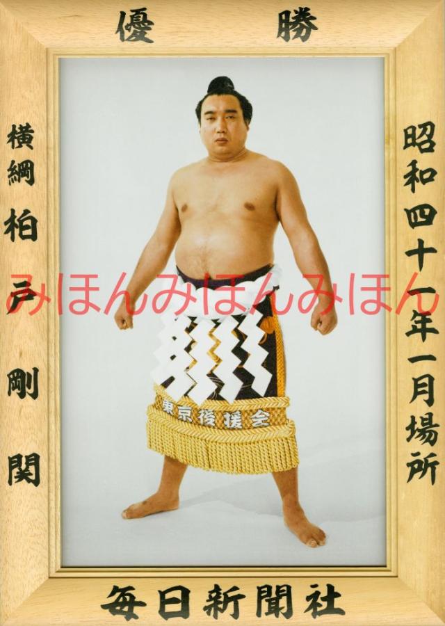 【希少・専門書】シェイクスピアの新語・新語義の研究 岡村俊明著 単行本】 岡村俊明 / シェイクスピアの新語、新語義の研究 送料無料