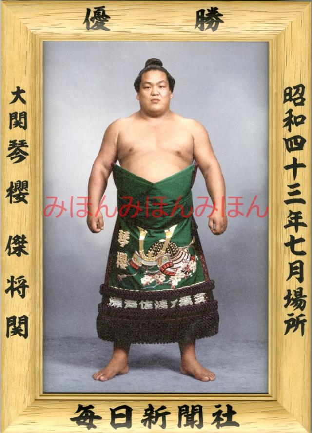 千代の富士関 大相撲優勝ミニ額 昭和56年1月場所 ちいさ 優勝 千代の