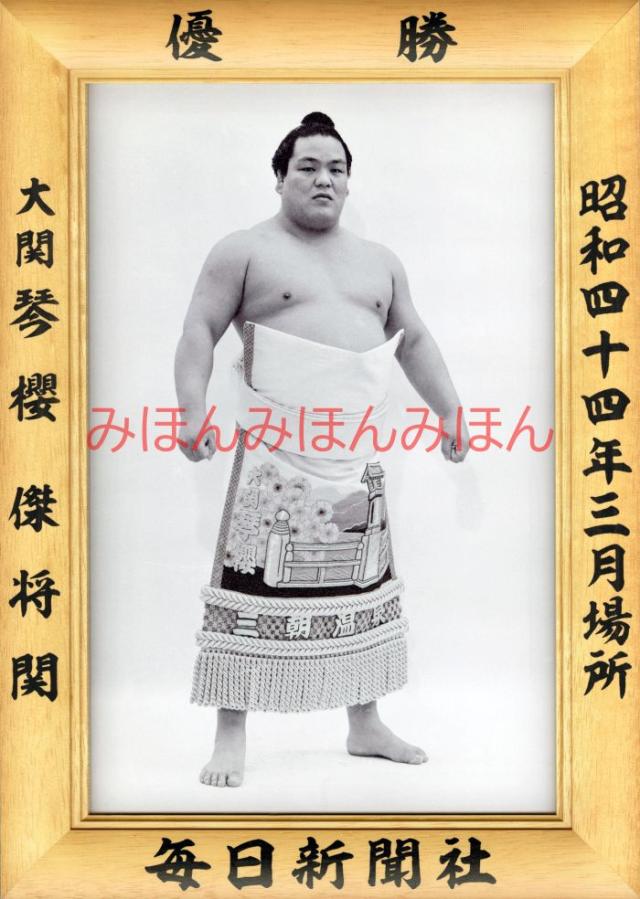 琴櫻傑将関　優勝ミニ額 大相撲ミニ額 大相撲優勝額　昭和４４年３月場所 優勝 大関 琴櫻傑将関（２回目の優勝）