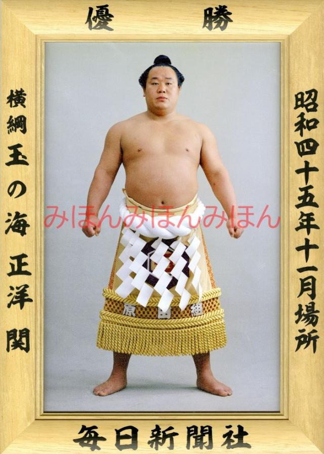 玉の海正洋関　優勝ミニ額 大相撲ミニ額 大相撲優勝額　昭和４５年１１月場所 優勝 横綱 玉の海正洋関（４回目の優勝）
