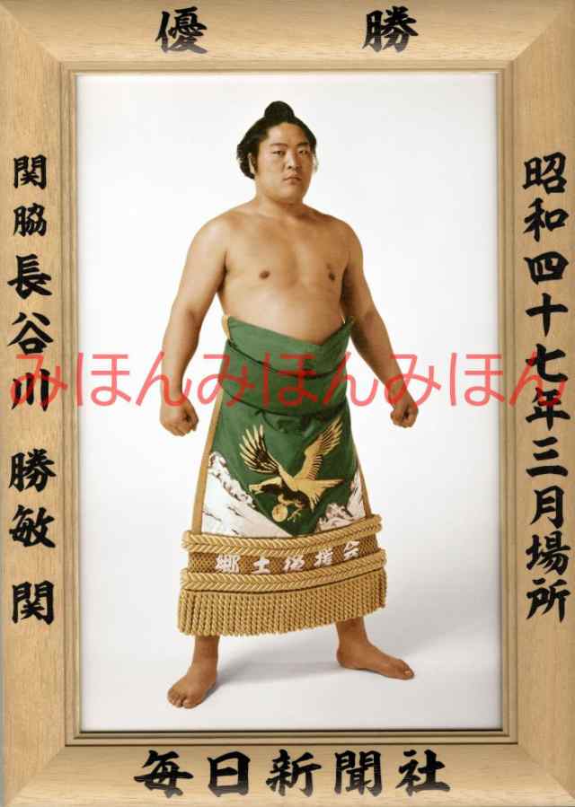輪島大士関 優勝ミニ額 大相撲ミニ額 大相撲優勝額 昭和48年9