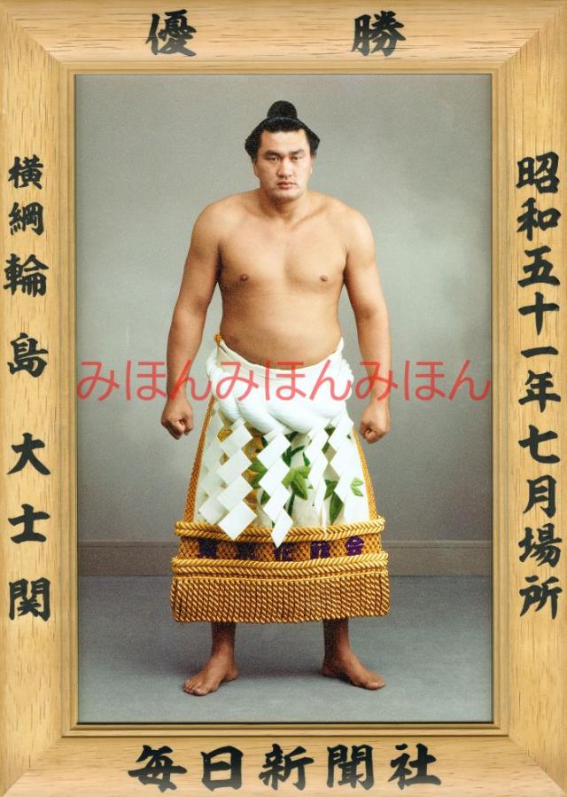 言語科学の真髄を求めて 中島平三教授還暦記念論文集/ひつじ書房/鈴木右文（単行本） 単行本】 鈴木右文 / 言語科学の真髄を求めて 中島平三教授還暦