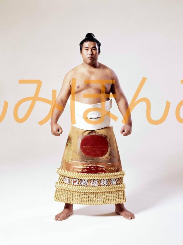 北の湖関　優勝ミニチュア額 大相撲優勝額 北の湖敏満関 昭和54年9月場所 大相撲ミニチュア額