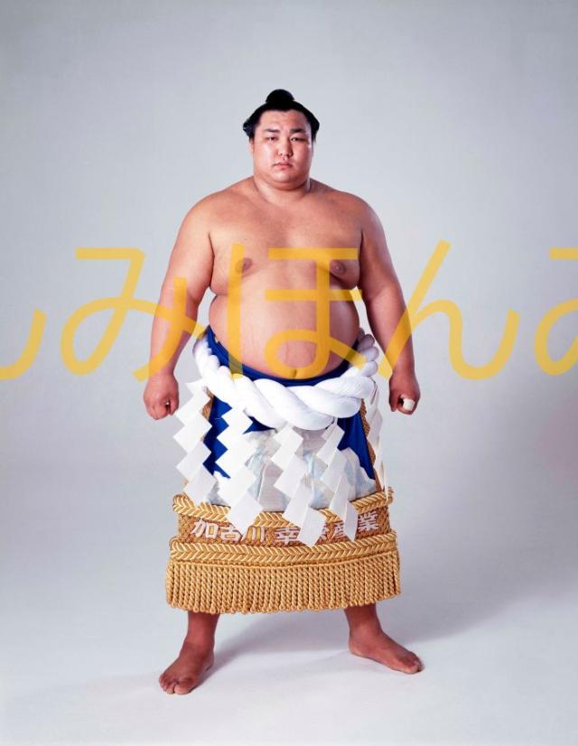 北の湖敏満関 優勝ミニ額 大相撲ミニ額 大相撲優勝額 昭和53年5