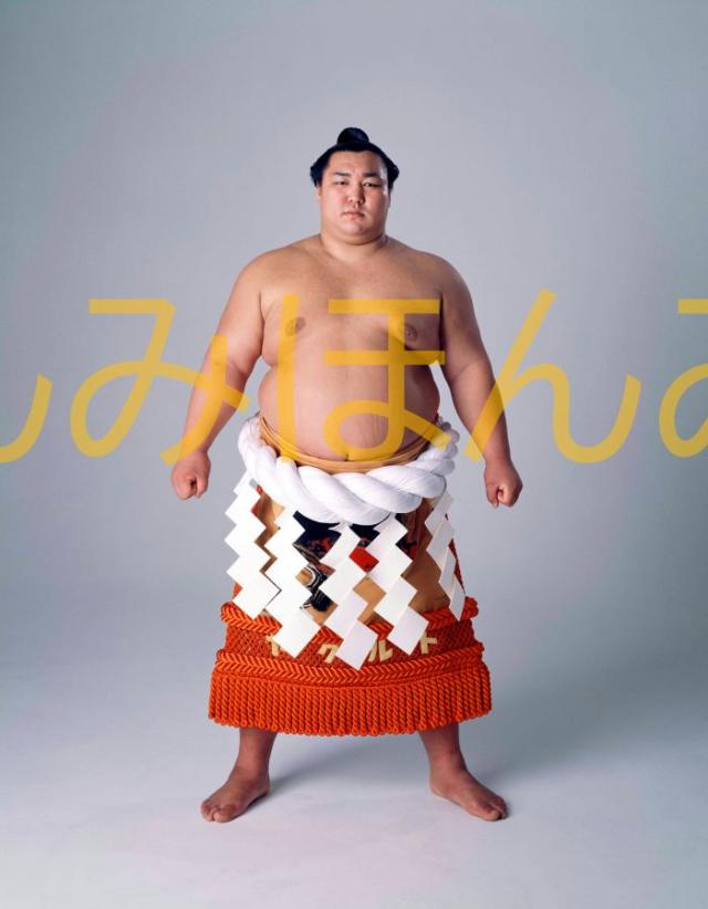 北の湖関　優勝ミニチュア額 楽天市場】北の湖敏満関 優勝ミニ額 大相撲ミニ額 大相撲優勝額