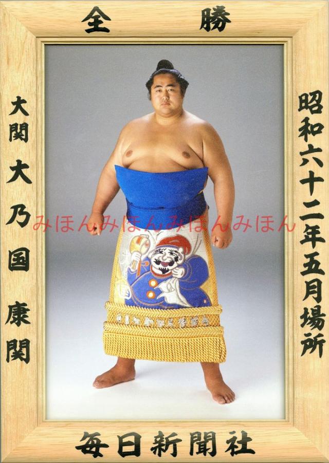 大乃国康関　優勝ミニ額 大相撲ミニ額 大相撲優勝額　昭和６２年５月場所 全勝 大関 大乃国康関（初優勝）