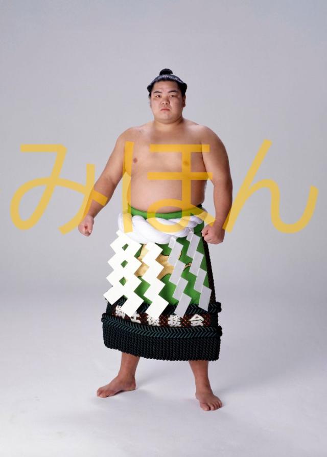北の湖関　優勝ミニチュア額 楽天市場】北の湖敏満関 優勝ミニ額 大相撲ミニ額 大相撲優勝額