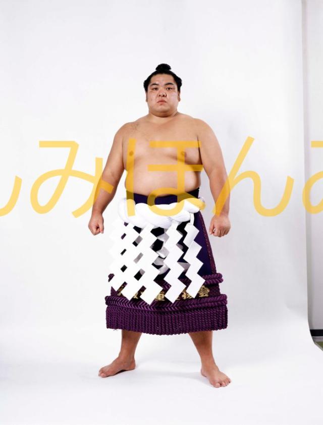 千代の富士貢関 優勝ミニ額 大相撲ミニ額 大相撲優勝額 昭和58