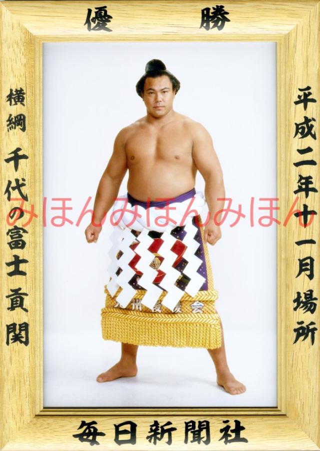 千代の富士貢関　優勝ミニ額 大相撲ミニ額 大相撲優勝額　平成２年１１月場所 優勝 横綱 千代の富士貢関（３１回目最後の優勝）