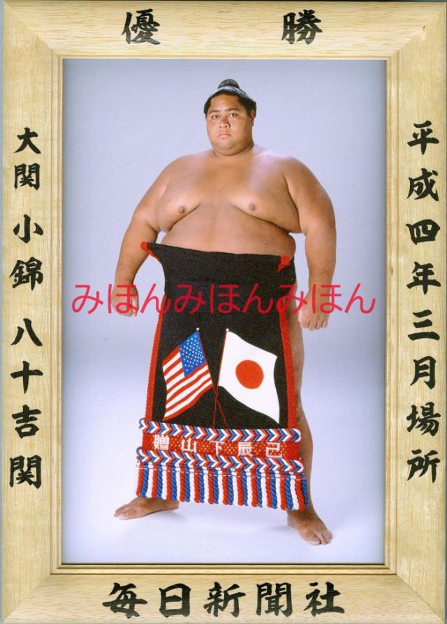 小錦八十吉関　優勝ミニ額 大相撲ミニ額 大相撲優勝額　平成４年３月場所 優勝 大関 小錦八十吉関（３回目の優勝） 16,045円