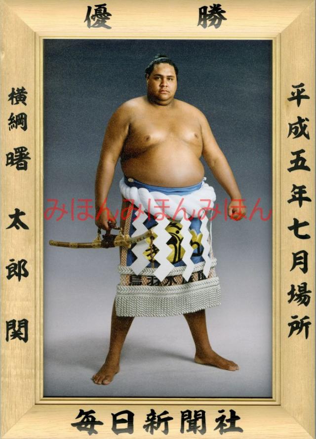 曙太郎関 優勝ミニ額 大相撲ミニ額 大相撲優勝額 平成5年7
