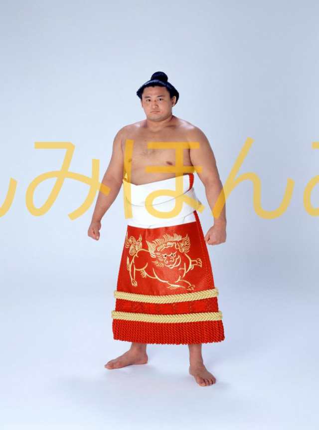 琴櫻 将傑 関 優勝ミニ額 大相撲 ミニ額 大相撲 優勝額 令和6