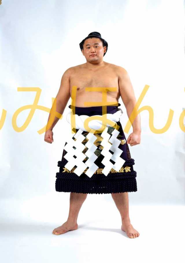 超貴重非売品貴乃花引退一代年寄襲名披露大相撲引退記念額
