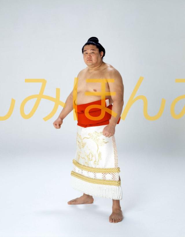 曙太郎関 優勝ミニ額 大相撲ミニ額 大相撲優勝額 平成7年3月