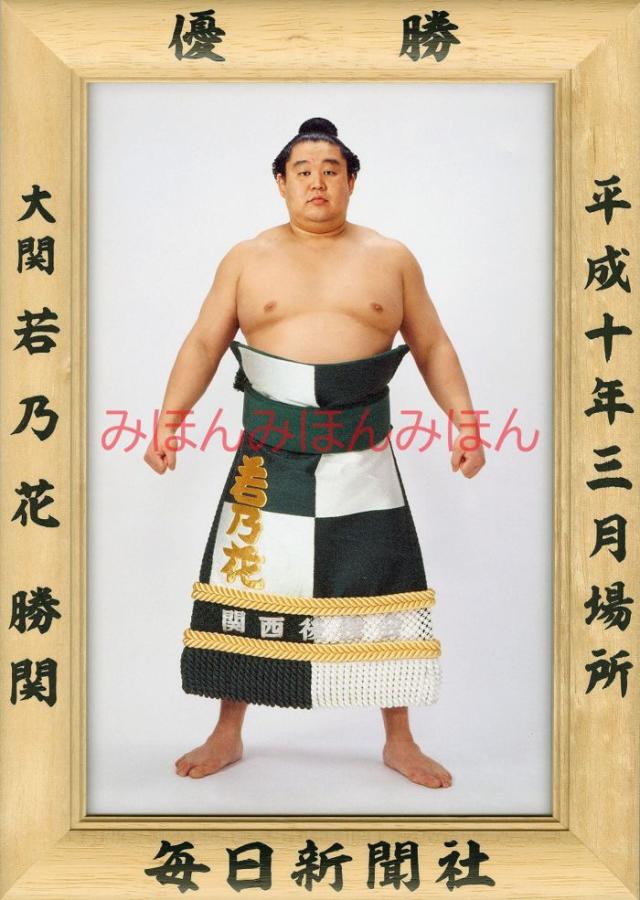 若乃花勝関　優勝ミニ額 大相撲ミニ額 大相撲優勝額　平成１０年３月場所 優勝 大関 若乃花勝関（４回目の優勝）