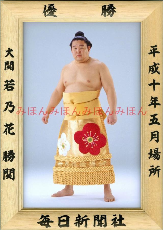 若乃花勝関　優勝ミニ額 大相撲ミニ額 大相撲優勝額　平成１０年５月場所 優勝 大関 若乃花勝関（５回目の優勝）