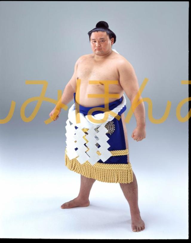 貴乃花光司関　優勝ミニ額 大相撲ミニ額 大相撲優勝額　平成１０年７月場所 優勝 横綱 貴乃花光司関（１９回目の優勝）の通販は