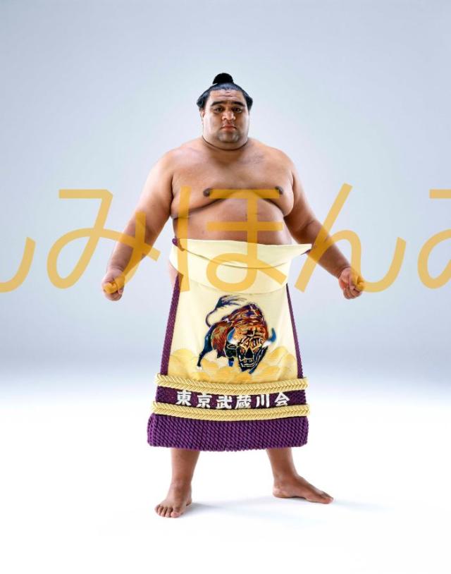 千代の富士 ミニチュア 優勝額 毎日新聞社 昭和63年 五月場所