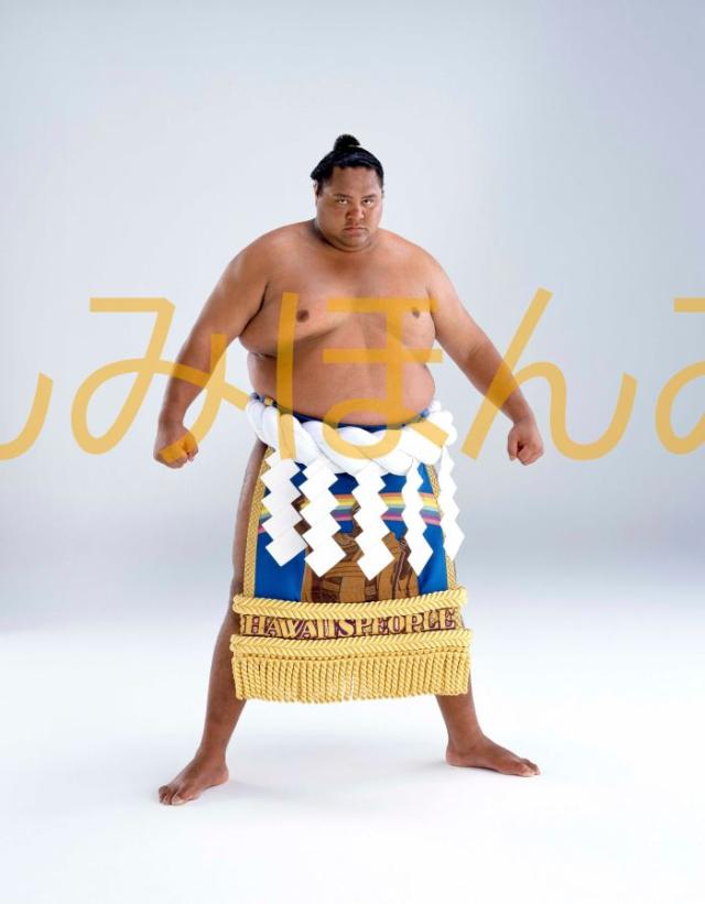曙太郎関　優勝ミニ額 大相撲ミニ額 大相撲優勝額　平成１２年７月場所 優勝 横綱 曙太郎関（１０回目の優勝）