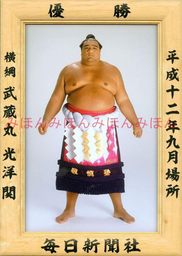 武蔵丸光洋関　優勝ミニ額 大相撲ミニ額 大相撲優勝額　平成１２年９月場所 優勝 横綱 武蔵丸光洋関（８回目の優勝）