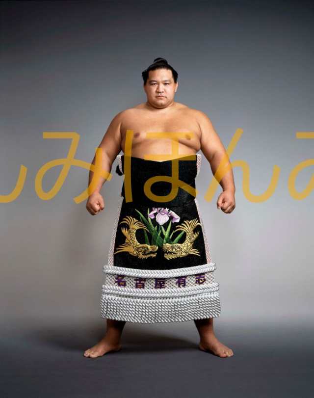 魁皇博之関　優勝ミニ額 大相撲ミニ額 大相撲優勝額　平成１３年７月場所 優勝 大関 魁皇博之関（３回目の優勝）の通販は
