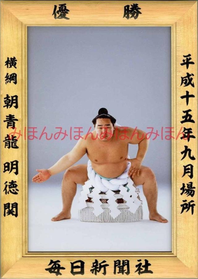 大相撲優勝額　ミニチュア版　朝青龍①