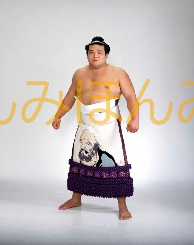 栃東大裕関　優勝ミニ額 大相撲ミニ額 大相撲優勝額　平成１５年１１月場所 優勝 大関 栃東大裕関（２回目の優勝）
