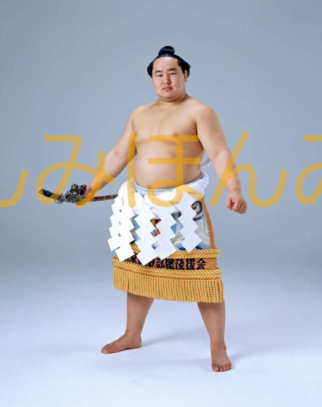 千代の富士 優勝額 赤黒い