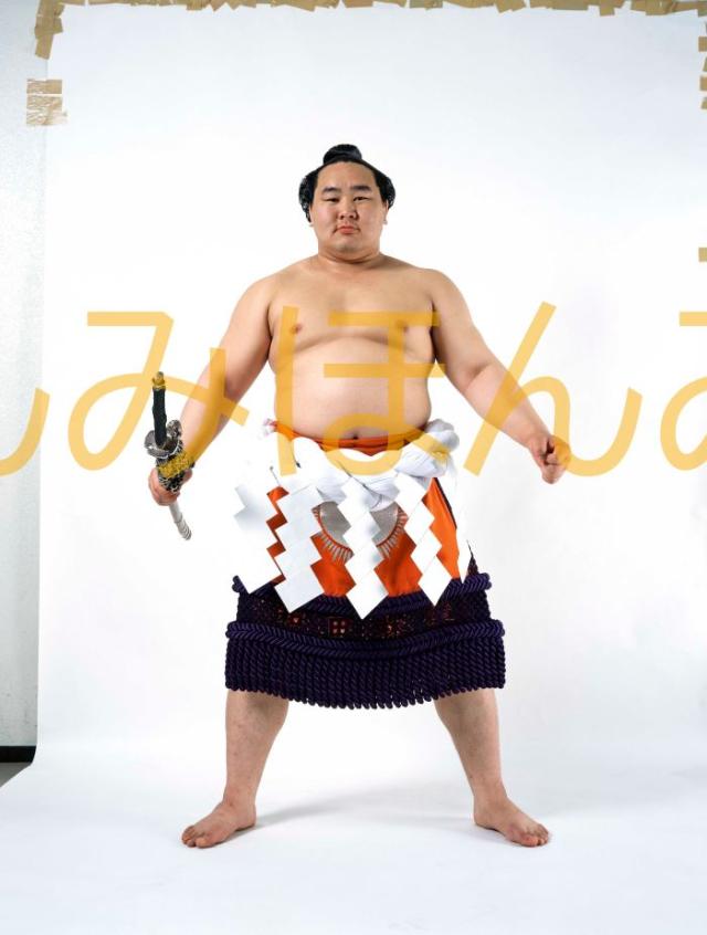 朝青龍明徳関　優勝ミニ額 大相撲ミニ額 大相撲優勝額　平成１７年３月場所 優勝 横綱 朝青龍明徳関（１１回目の優勝）
