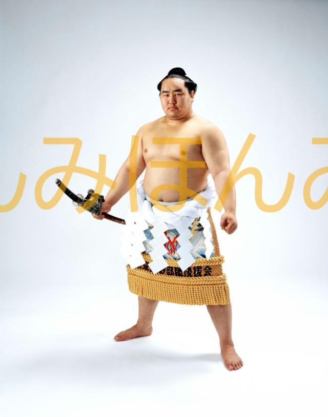 朝青龍明徳関　優勝ミニ額 大相撲ミニ額 大相撲優勝額　平成１７年５月場所 全勝 横綱 朝青龍明徳関（１２回目の優勝）