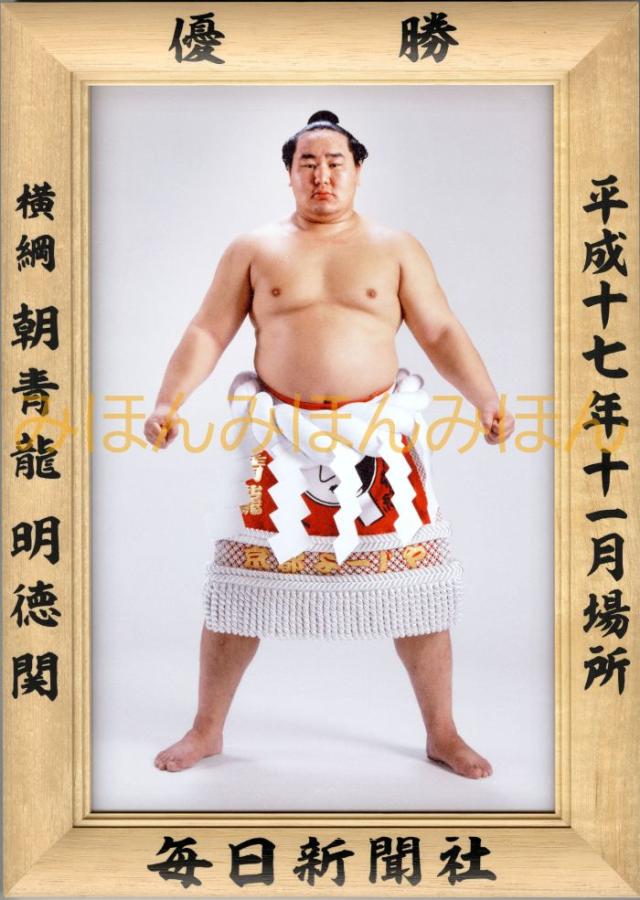 朝青龍明徳関　優勝ミニ額 大相撲ミニ額 大相撲優勝額　平成１７年１１月場所 優勝 横綱 朝青龍明徳関（１５回目の優勝）