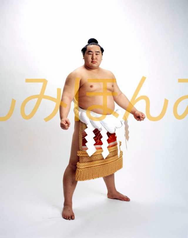 中世思想原典集成〈8〉シャルトル学派(未使用 未開封の中古品)