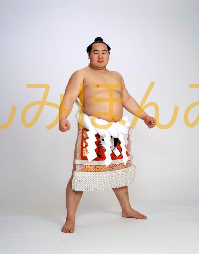朝青龍明徳関　優勝ミニ額 大相撲ミニ額 大相撲優勝額　平成１９年１月場所 優勝 横綱 朝青龍明徳関（２０回目の優勝）