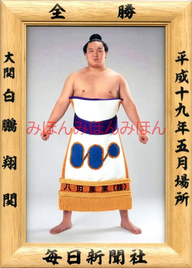 白鵬翔関　優勝ミニ額 大相撲ミニ額 大相撲優勝額　平成１９年５月場所 全勝 大関 白鵬翔関（３回目の優勝）
