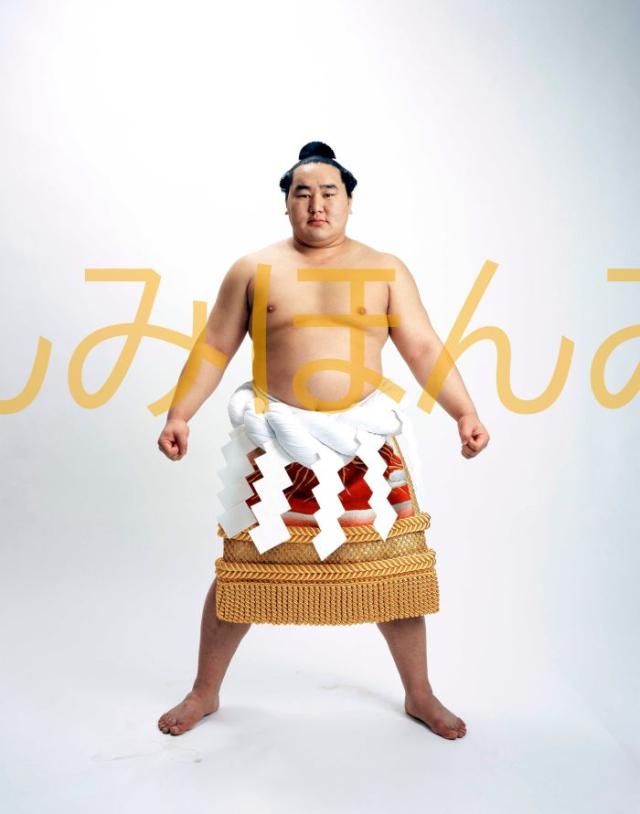 朝青龍明徳関　優勝ミニ額 大相撲ミニ額 大相撲優勝額　平成１９年７月場所 優勝 横綱 朝青龍明徳関（２１回目の優勝）