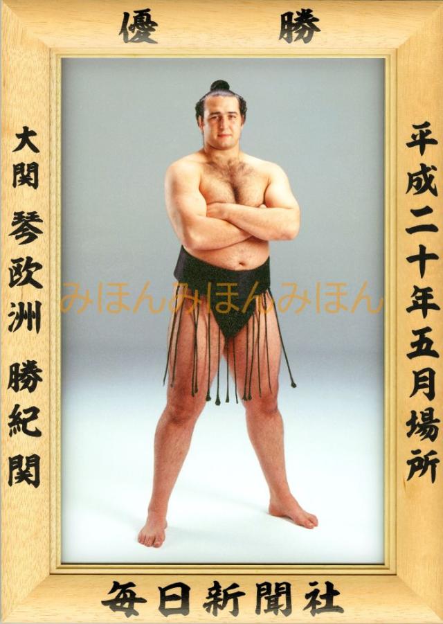 琴欧洲勝紀関　優勝ミニ額 大相撲ミニ額 大相撲優勝額　平成２０年５月場所 優勝 大関 琴欧洲勝紀関