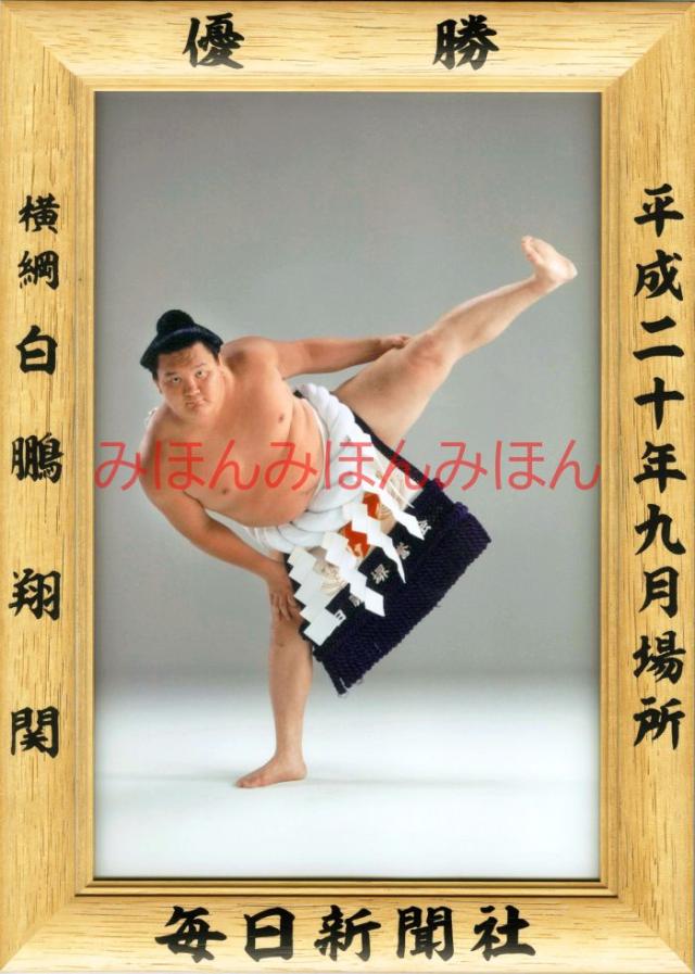 白鵬翔関　優勝ミニ額 大相撲ミニ額 大相撲優勝額　平成２０年９月場所 優勝 横綱 白鵬翔関（８回目の優勝）