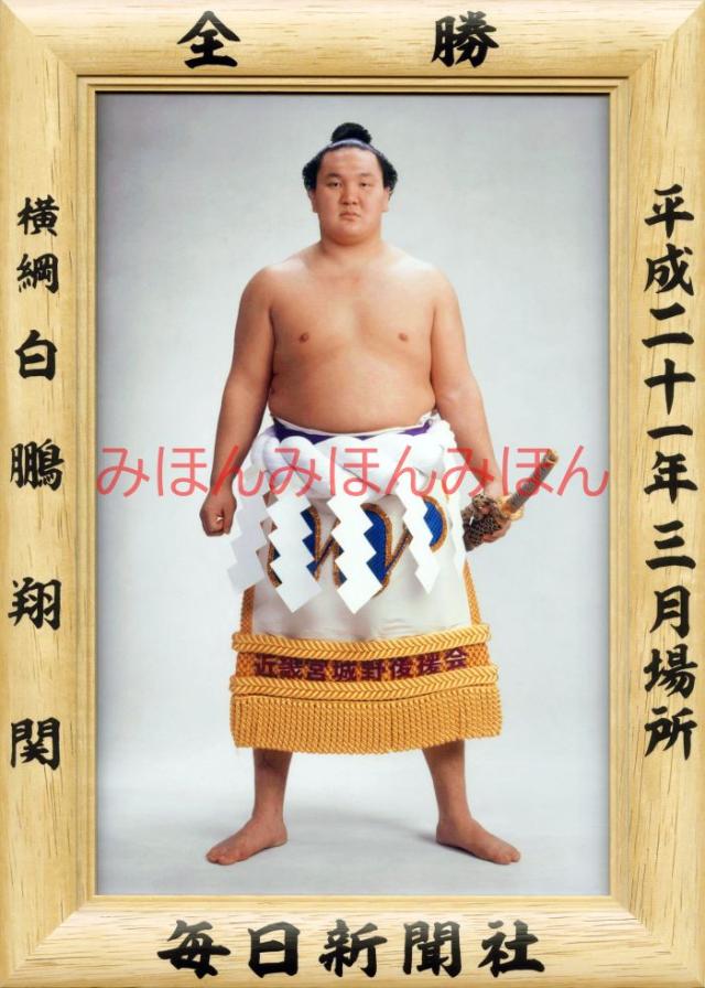 白鵬翔関　優勝ミニ額 大相撲ミニ額 大相撲優勝額　平成２１年３月場所 全勝 横綱 白鵬翔関（１０回目の優勝）