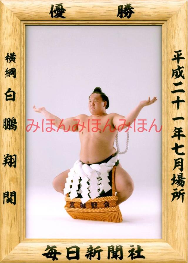 大相撲優勝額ミニチュア　平成10年5月場所　若乃花 毎日新聞・大相撲優勝額ミニチュア・平成十年五月場所・若乃花・No