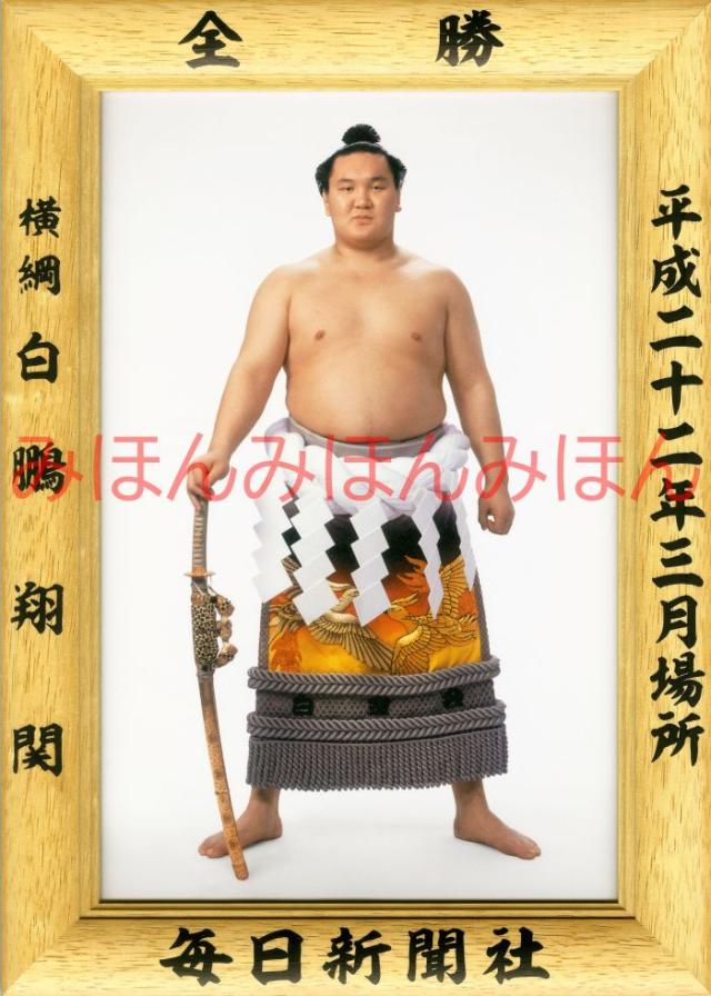 白鵬翔関　優勝ミニ額 大相撲ミニ額 大相撲優勝額　平成２２年３月場所 全勝 横綱 白鵬翔関（１３回目の優勝）