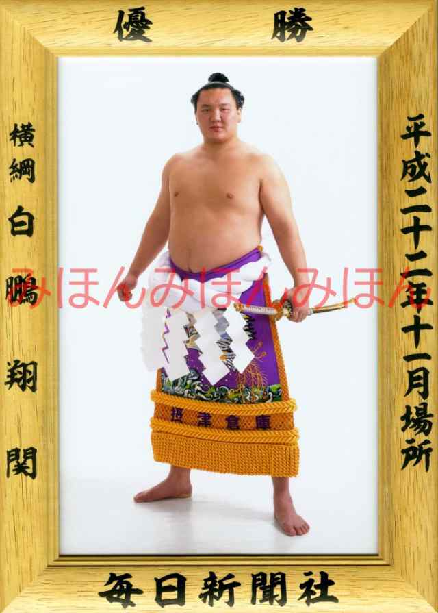 ナノ微粒子合成とフォトニクスへの展開 (ポリマーフロンティア21