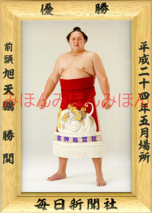大相撲優勝額 ミニチュア版  貴花田 貴ノ花 貴乃花光司関 優勝ミニ額 大相撲ミニ額 大相撲優勝額 平成6年11月