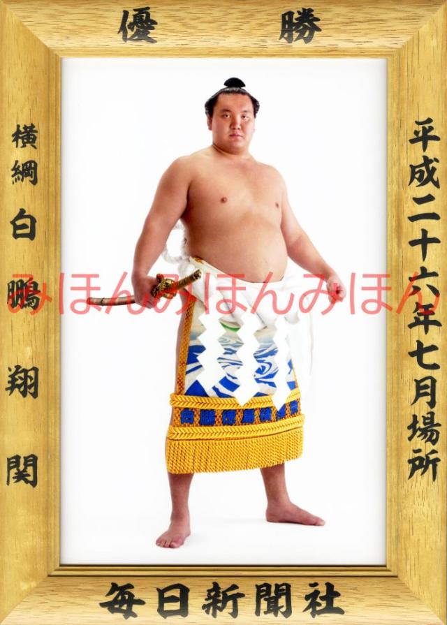 白鵬翔関　優勝ミニ額 大相撲ミニ額 大相撲優勝額　平成２６年７月場所 優勝 横綱 白鵬翔関（３０回目の優勝）