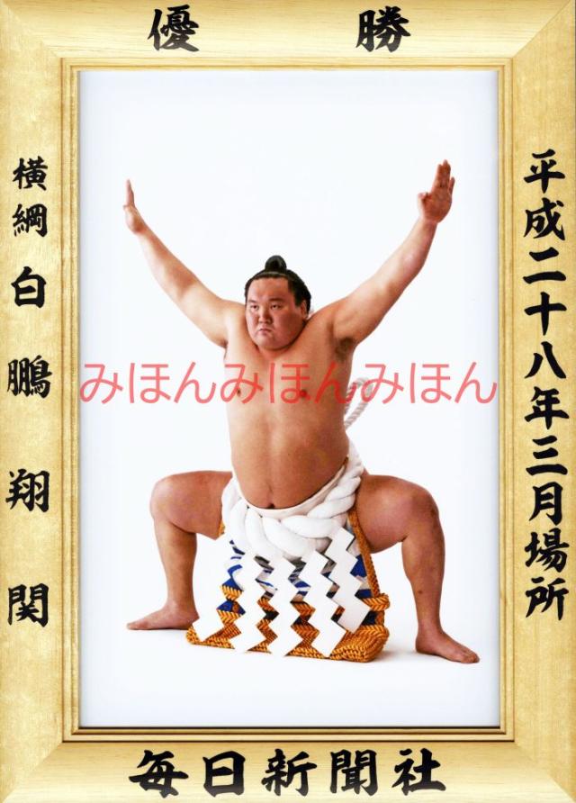 白鵬翔関　優勝ミニ額 大相撲ミニ額 大相撲優勝額　平成２８（２０１６）年３月場所 優勝 横綱 白鵬翔関（３６回目の優勝）