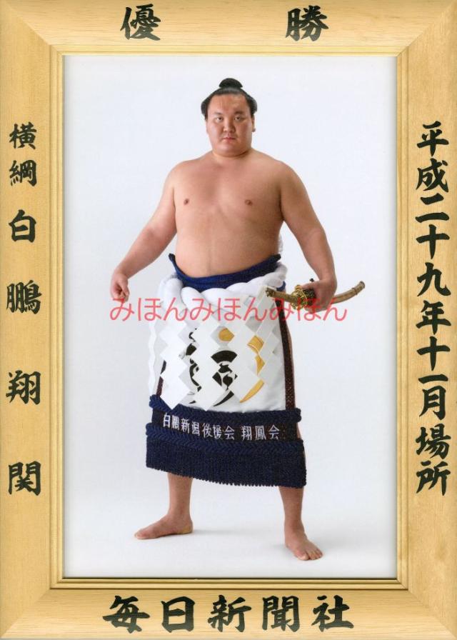 白鵬翔関　優勝ミニ額 大相撲ミニ額 大相撲優勝額　平成２９（２０１７）年１１月場所 優勝 横綱 白鵬翔関（４０回目の優勝）