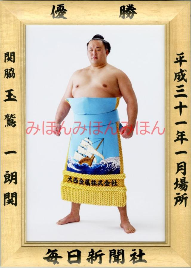 玉鷲一朗関　優勝ミニ額 大相撲ミニ額 大相撲優勝額　平成３１（２０１９）年１月場所 優勝 関脇 玉鷲一朗関（初優勝）
