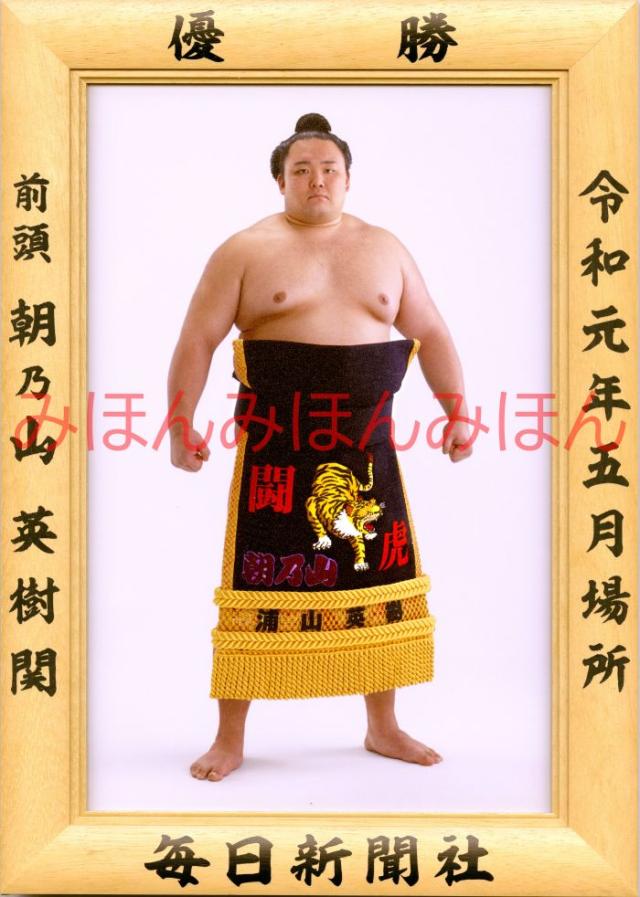 大相撲優勝額 ミニチュア版 平成7年3月場所 横綱 曙 太郎関 毎日